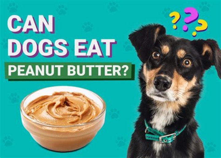 Does Peanut Butter Give Dogs Constipation