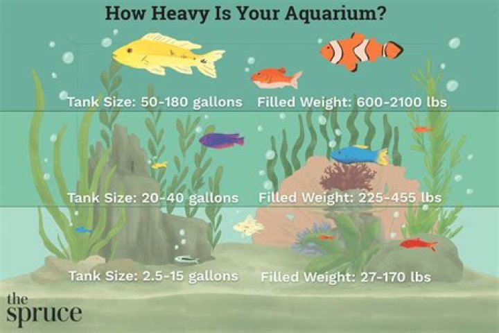 How Much Does A 55 Gallon Fish Tank Weight Filled