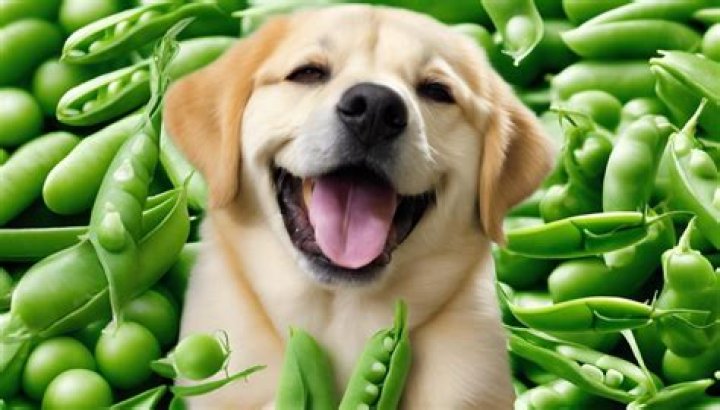 Question: Are Sweet Peas Safe For Dogs