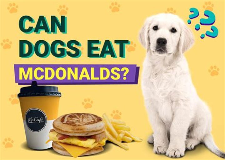 Question: Does Mcdonalds Give Dog Treats