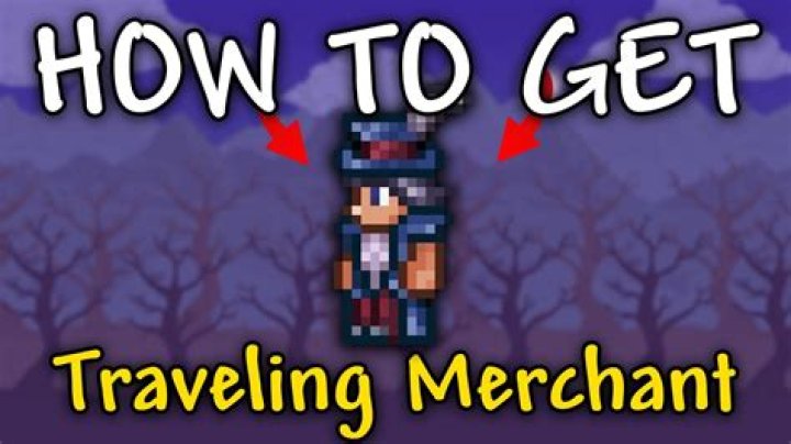 Question: How To Get The Travelling Merchant In Terraria