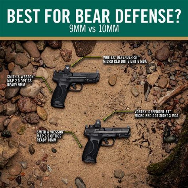 Question: What Kind Of Gun Will Kill A Bear