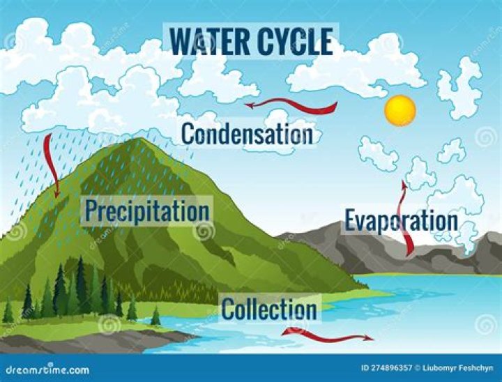 Question: What Role Do Hurricanes Play In The Water Cycle