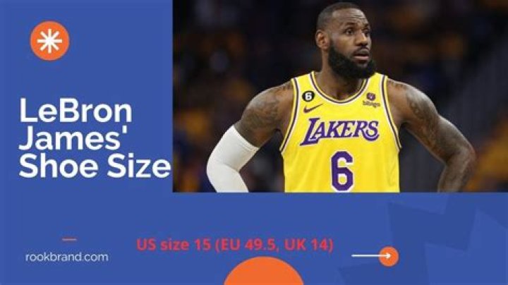 Question: What Size Is Lebron James Shoe