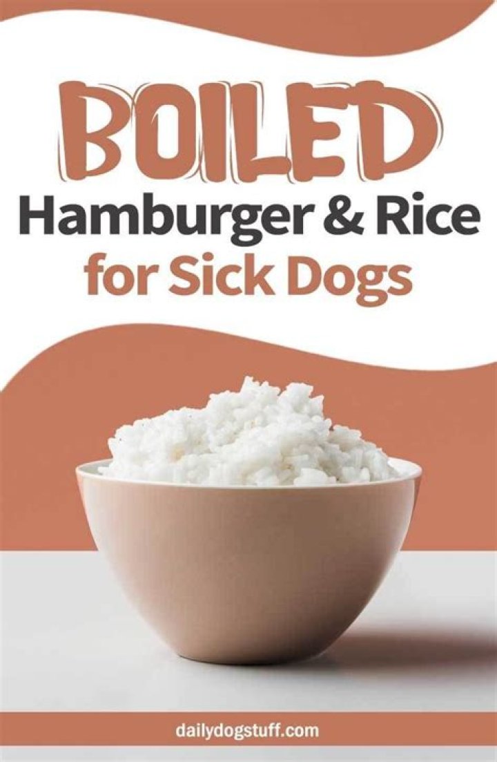 Quick Answer: How To Make Boiled Hamburger And Rice For Dogs