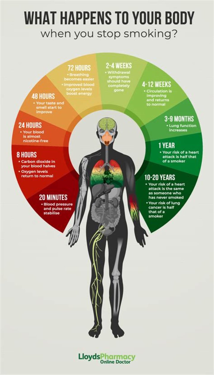 What Part Of The Body Heals The Fastest
